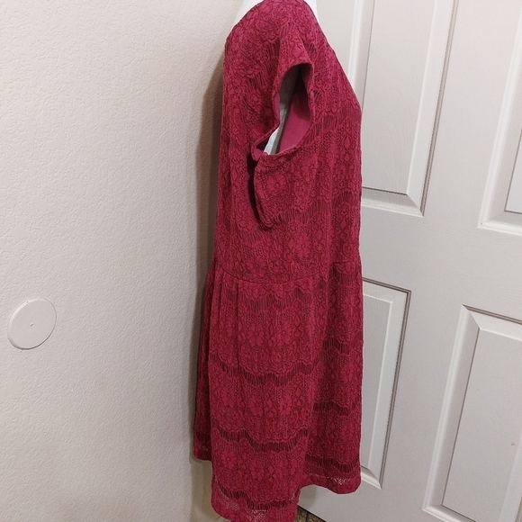 Garnet Hill pink cap sleeve lace dress lined synched waist wedding guest 18 - Picture 6 of 13